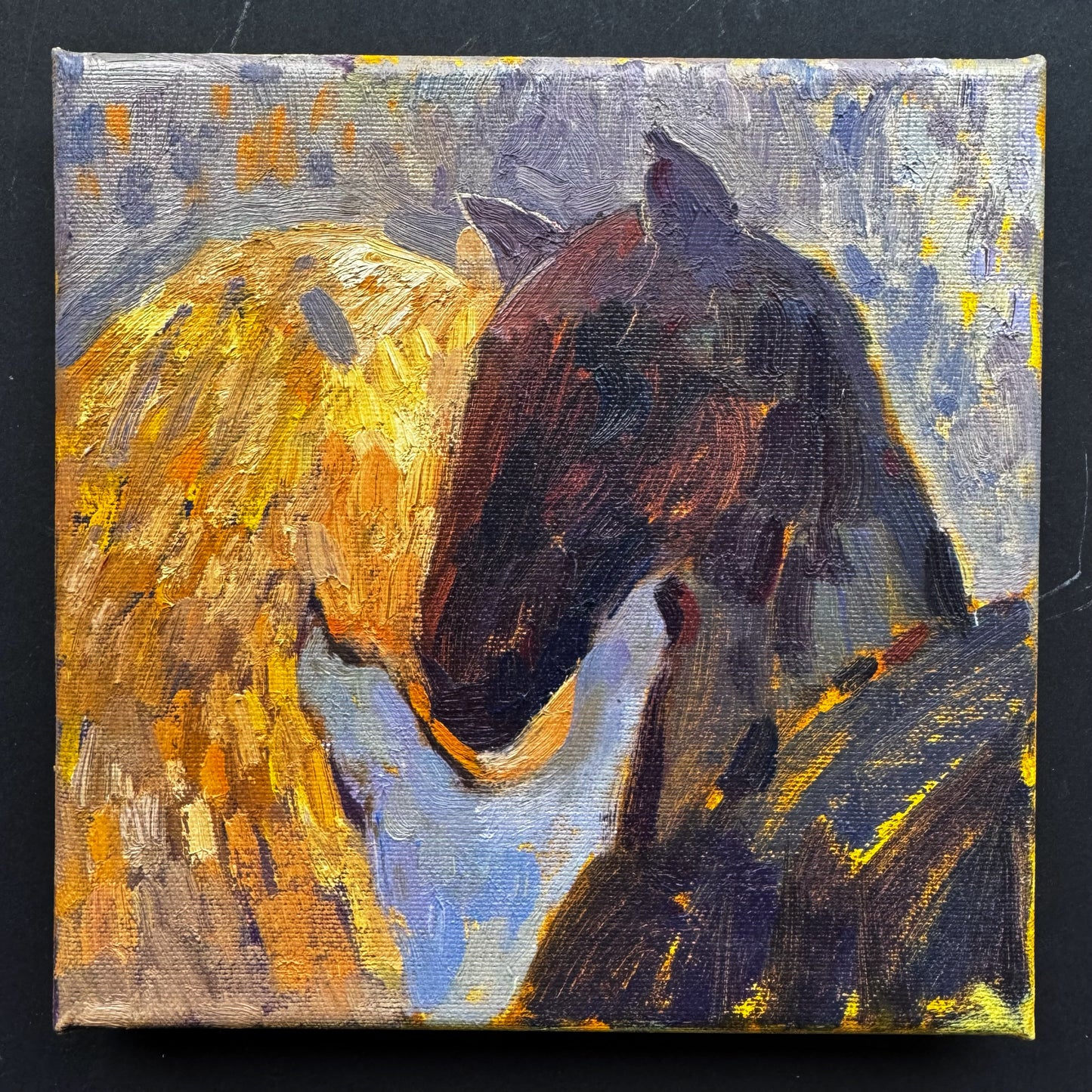 Horses Kiss III