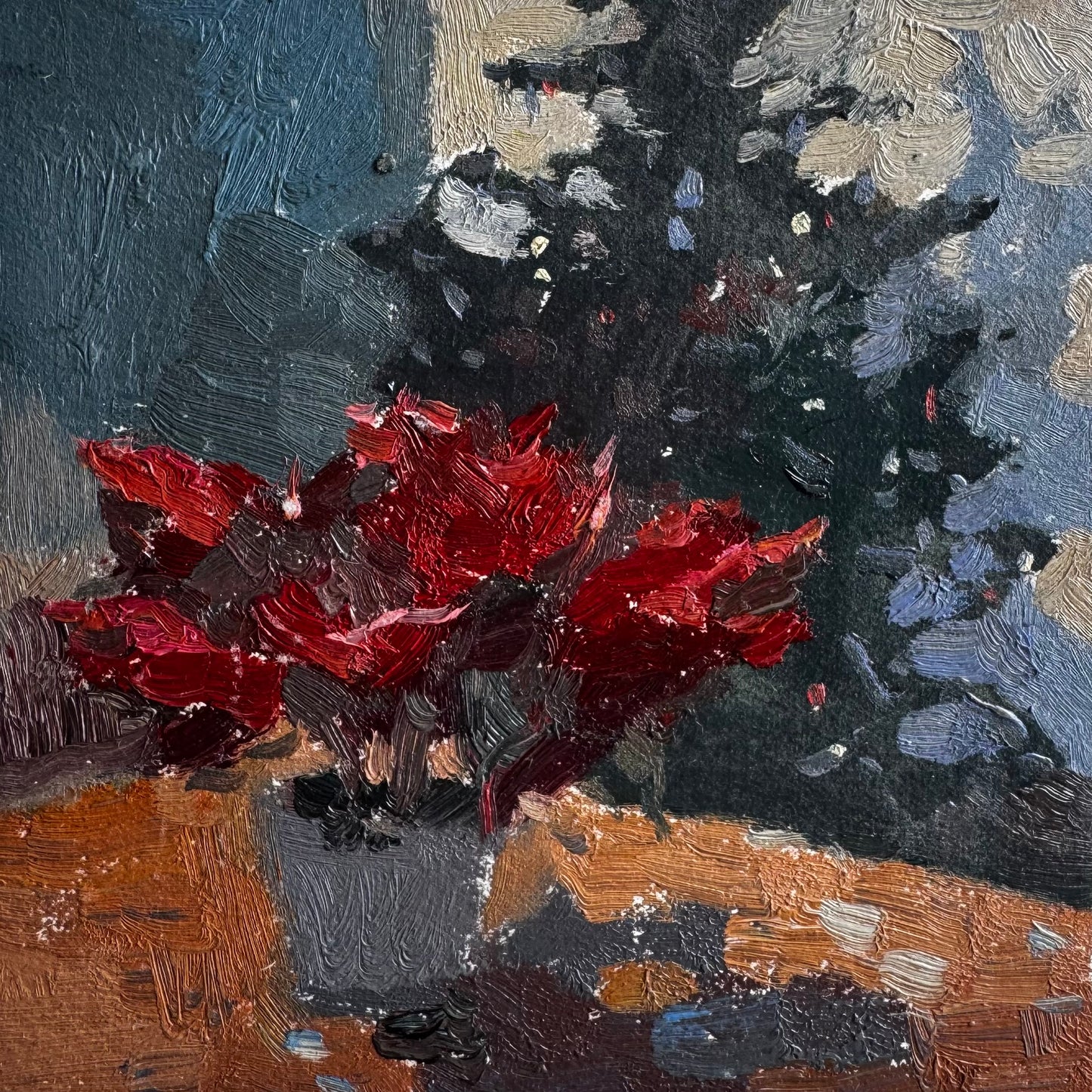 Christmas Star Plant
