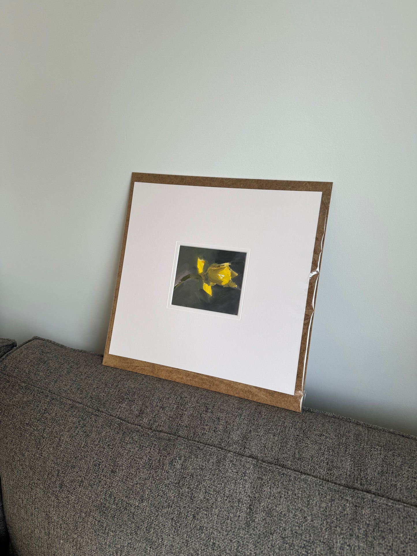 Studies: Daffodil