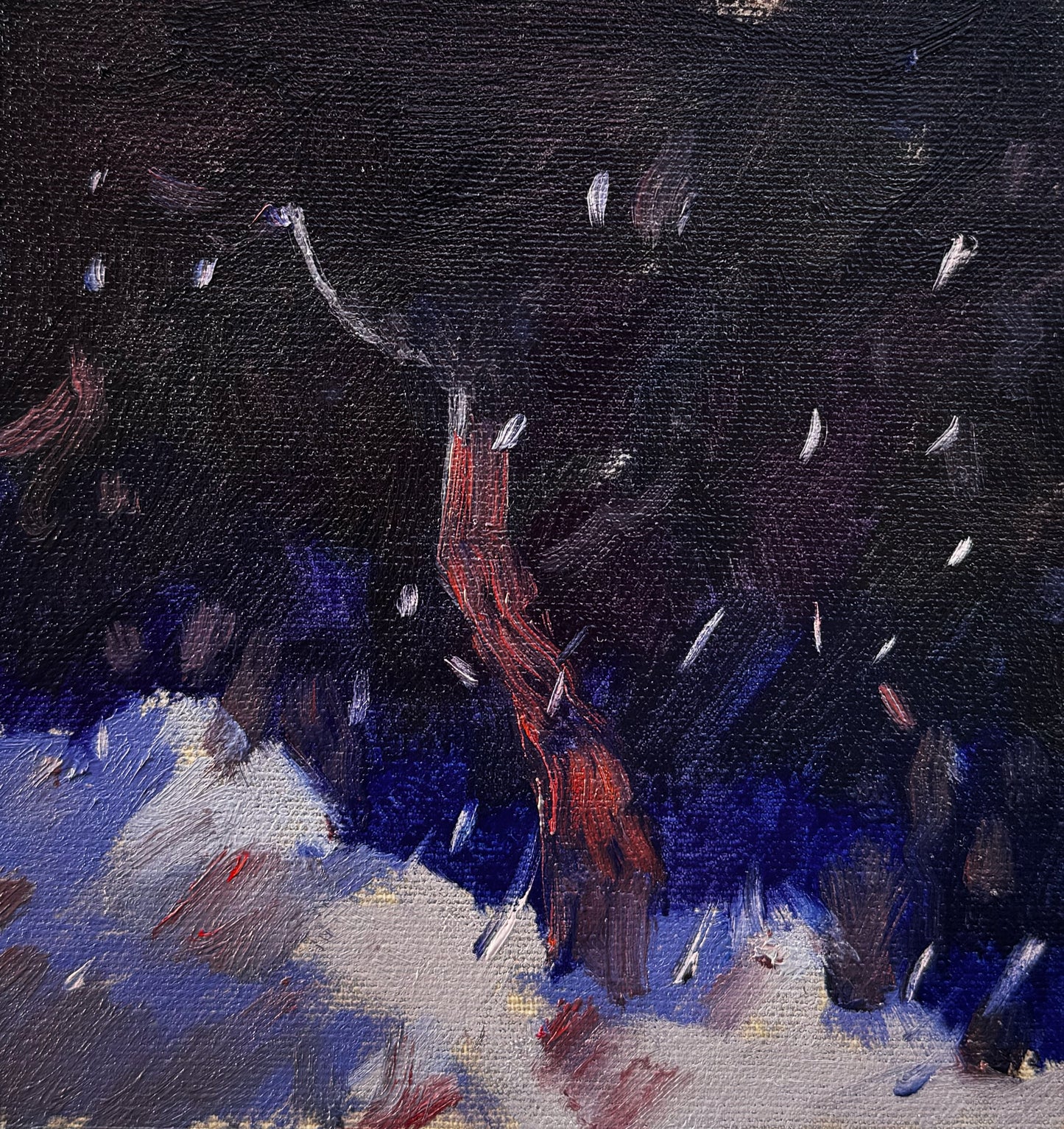 Night & Snow IV