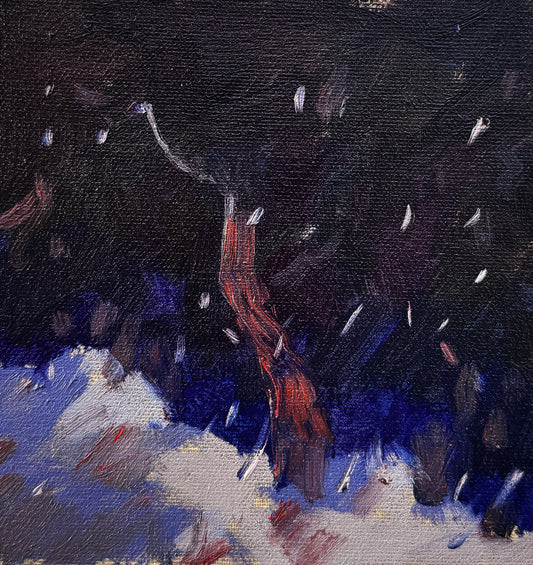 Night & Snow IV