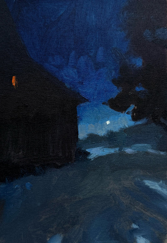 Night & Snow I
