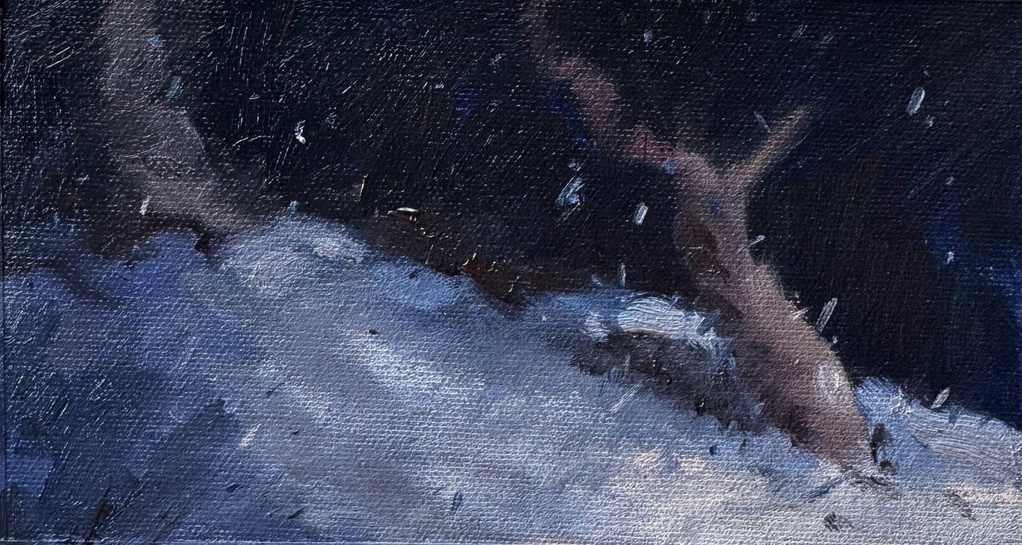 Night & Snow III
