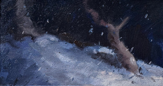 Night & Snow III