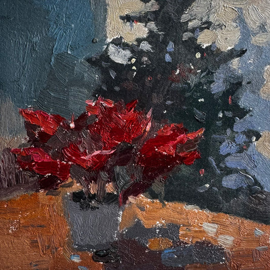 Christmas Star Plant