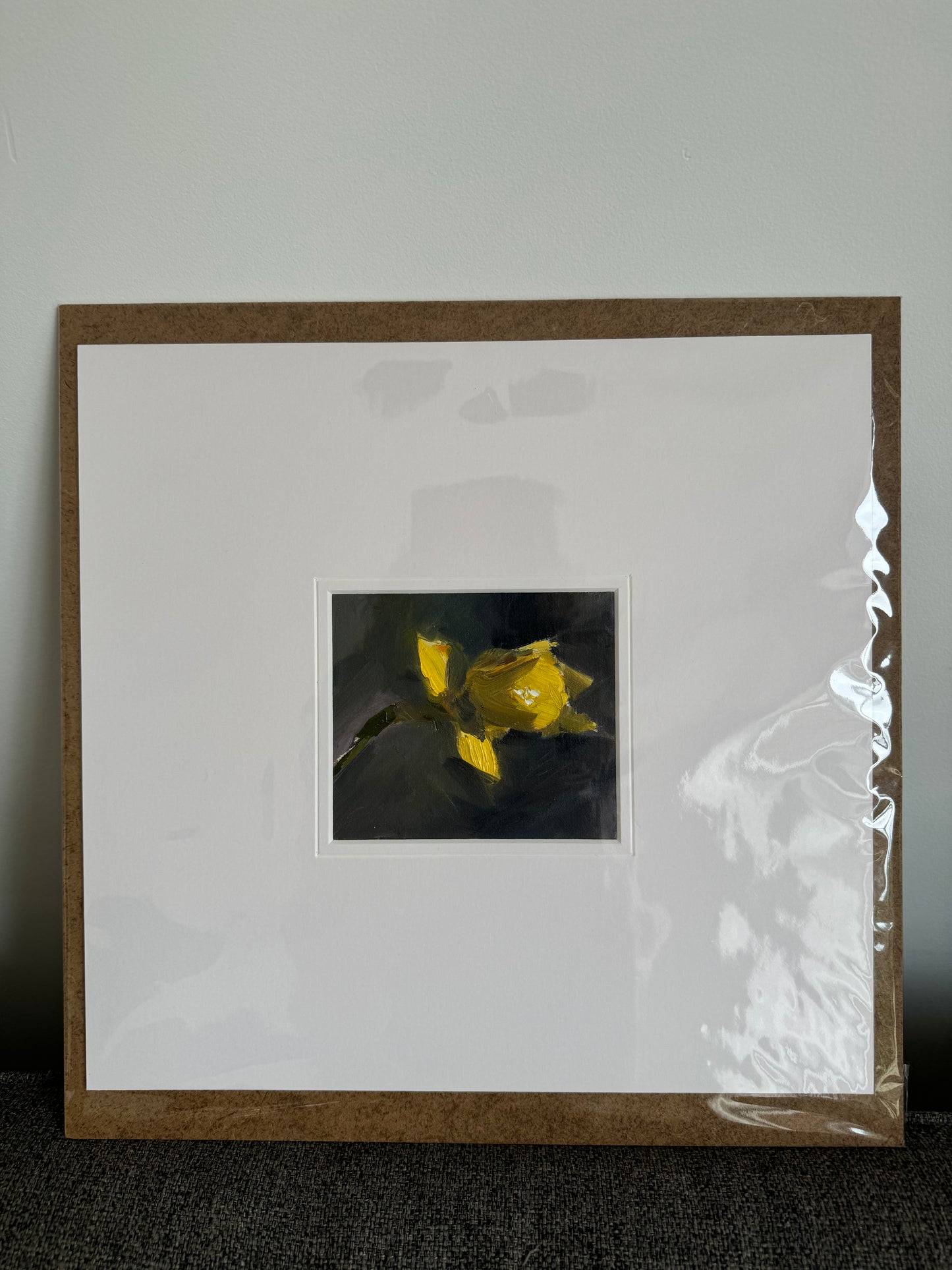 Studies: Daffodil
