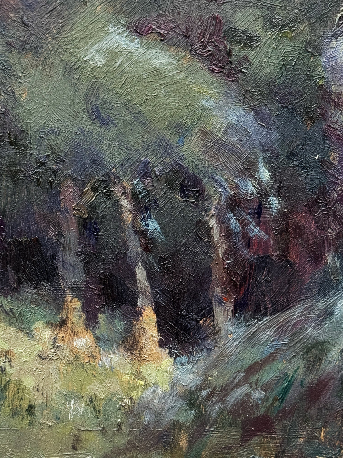 Landscapes: Birch trees & a willow