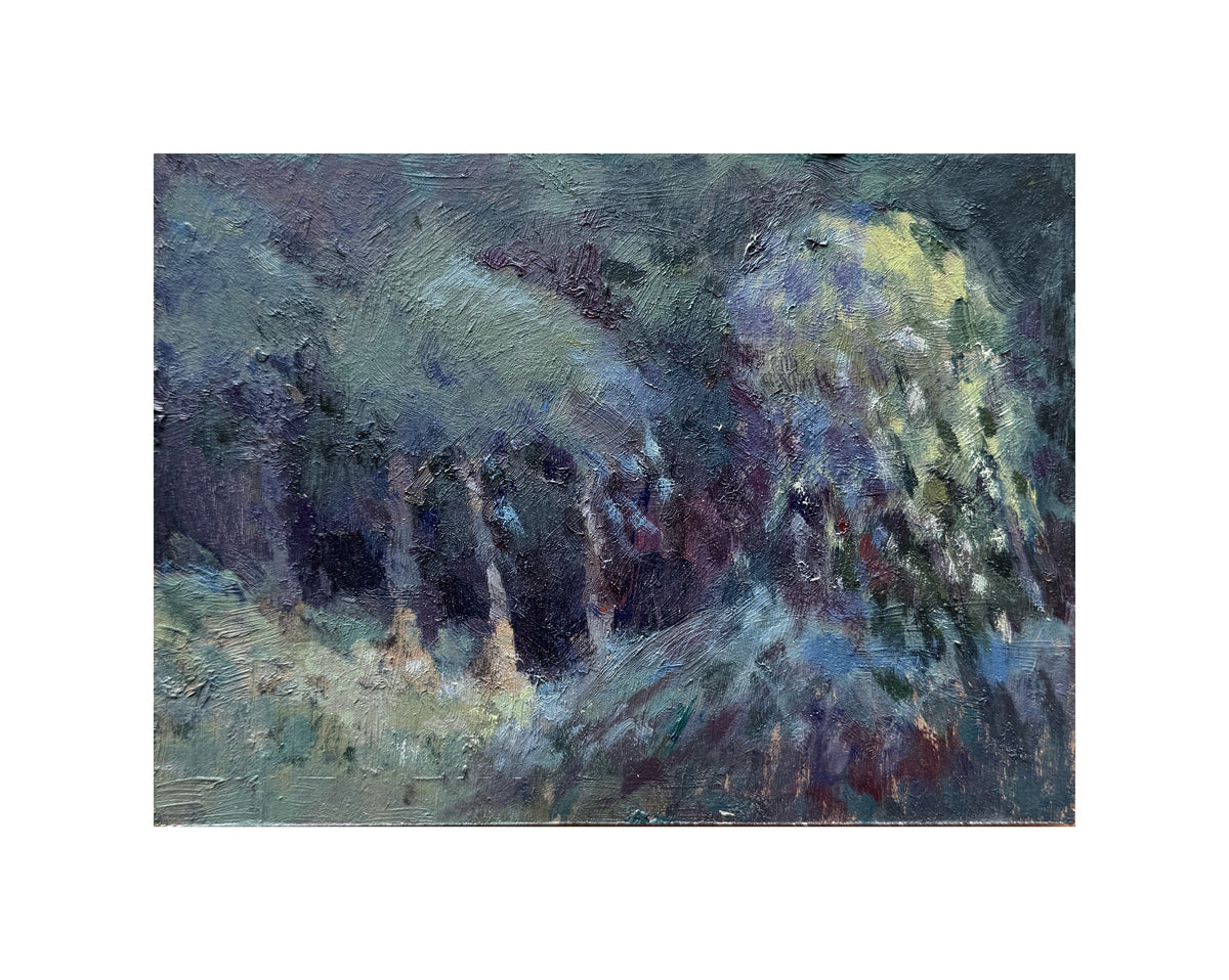 Landscapes: Birch trees & a willow