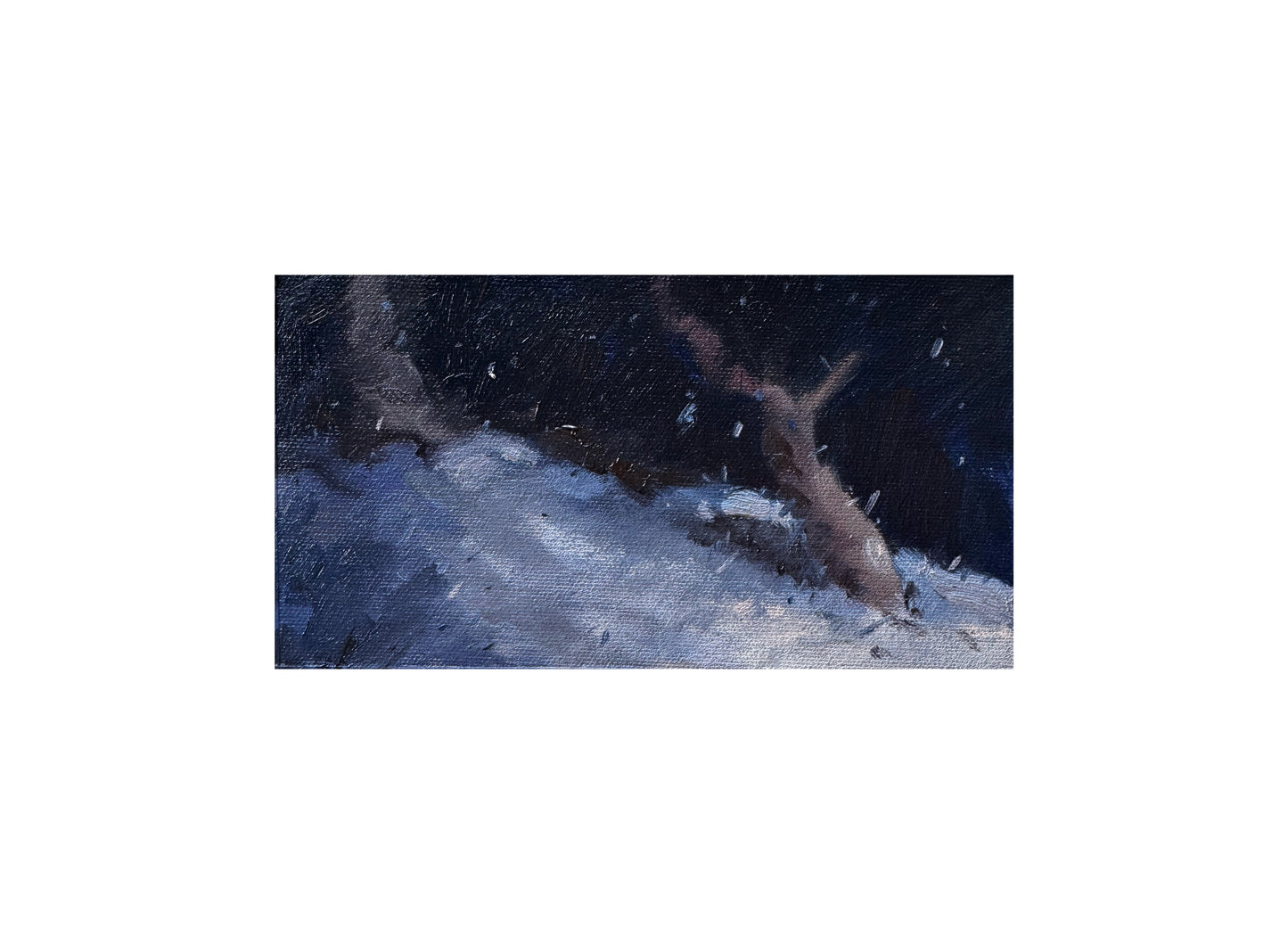 Night & Snow III